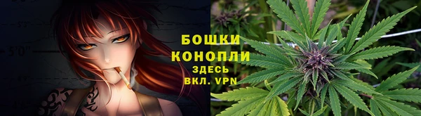 гашик Пестово