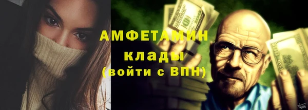 гашик Пестово