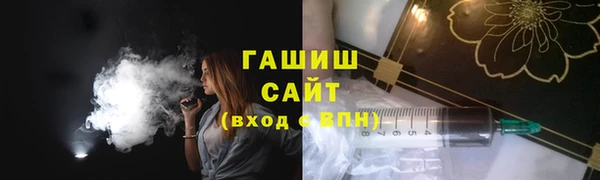 гашик Пестово