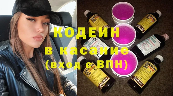 гашик Пестово