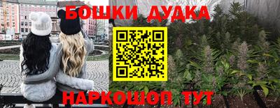 индика Севастополь